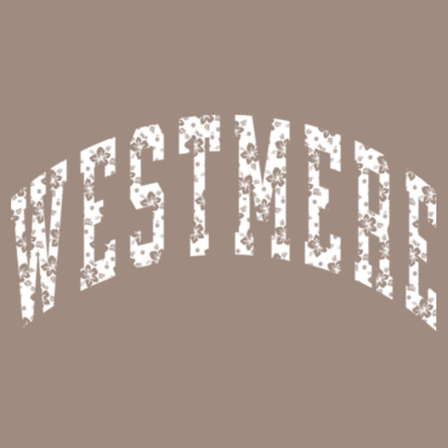WESTMERE LAVALAVA TEE (OVERSIZED BOXY FIT) - AS Colour Mens Heavy Faded Tee Design