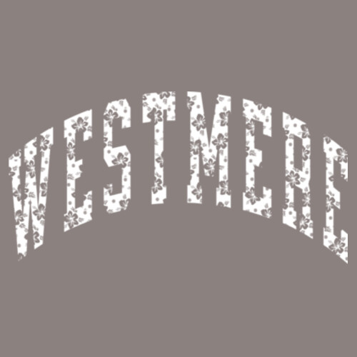 WESTMERE LAVALAVA TEE (OVERSIZED BOXY FIT) - AS Colour Womens Heavy Faded Tee Design
