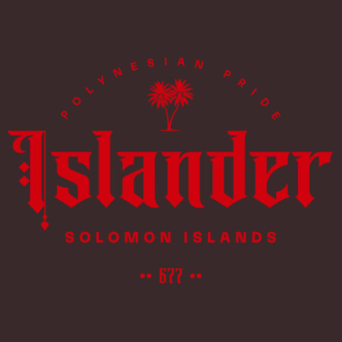 SOLOMON ISLANDS TEE (OVERSIZED BOXY FIT) - AS Colour Mens Heavy Tee Design