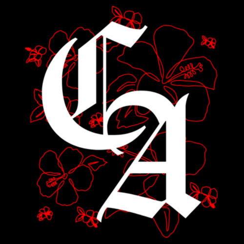 CENTRAL FLOWERS TEE (OVERSIZED BOXY FIT) - AS Colour Mens Heavy Tee Design
