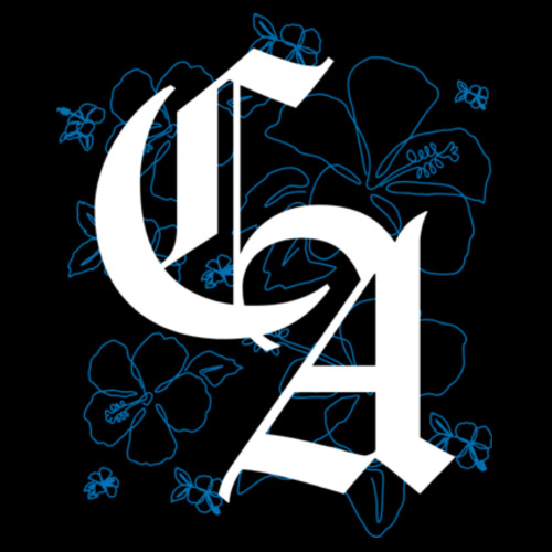 CENTRAL FLOWERS TEE (OVERSIZED BOXY FIT) - AS Colour Mens Heavy Tee Design