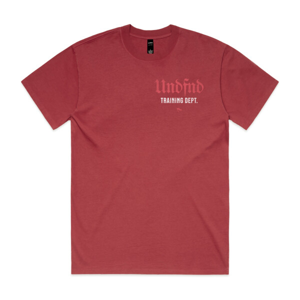 UNDFND DISCIPLINE TEE (OVERSIZED BOXY FIT) - AS Colour Mens Heavy Faded Tee Thumbnail